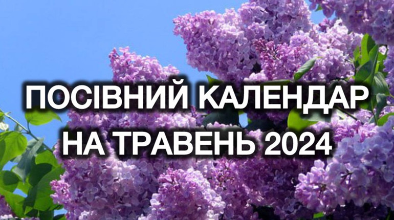 Посівний календар на травень 2024 року: сприятливі та несприятливі дні для роботи