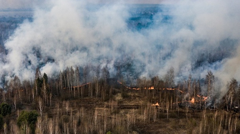 На Полтавщині спіймали порушників воєнного стану та пожежної безпеки у лісі