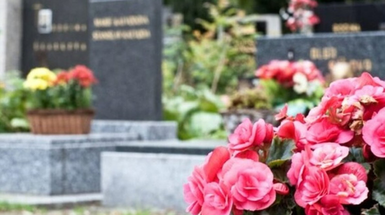 Графік проведення поминальних днів у Фастові в 2024 році