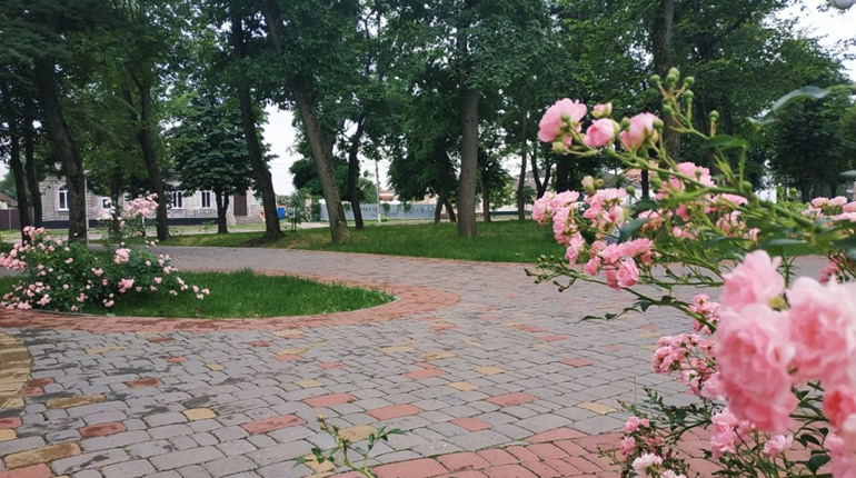 Погода на тиждень: чи чекати потепління на Гадяччині