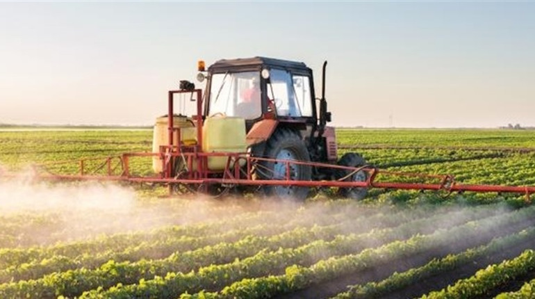 Увага! У Сарах та Червоному куті оброблятимуть посіви соняшника хімічним препаратом
