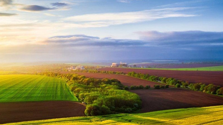 Строк оформлення невитребуваних паїв продовжено до 2028 року