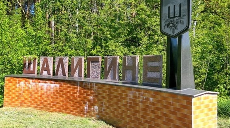 У селищі Шалигине внаслідок обстрілу пошкоджено приватний будинок