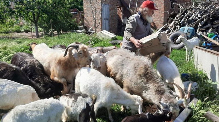 Залишився в прифронтовому місті, щоб доглядати улюблених тварин. Як живе козівник з Оріхова