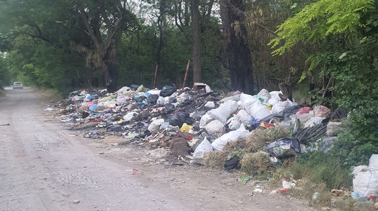 Держекоінспекція Запоріжжя виявила несанкціоноване звалище: хто скидає сміття