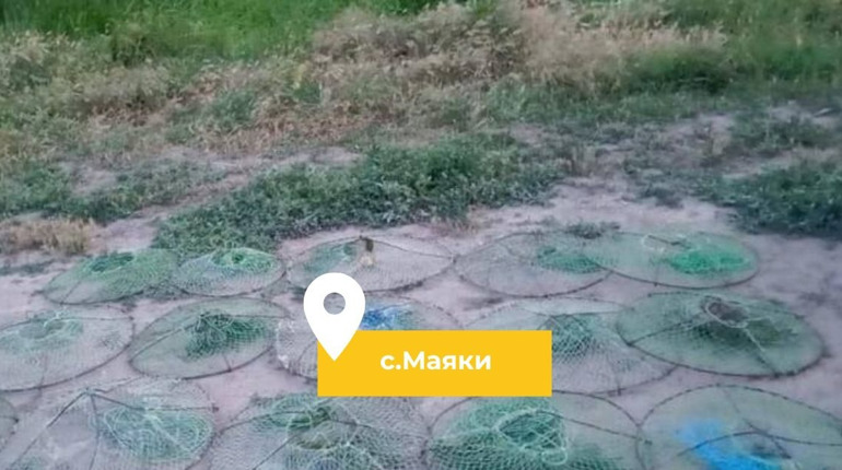 На Дністрі біля Маяк рибалка ловив раки забороненим знаряддям і завдав збитків на 133 тис. грн