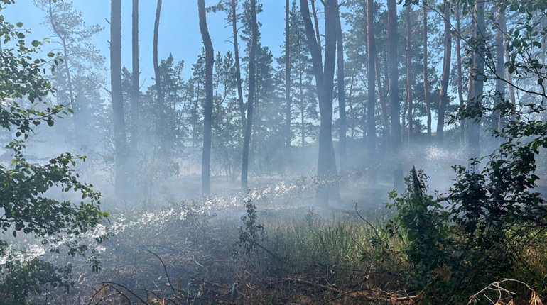 Рятувальники локалізували дві пожежі в екосистемах поблизу Великобурлуцької громади