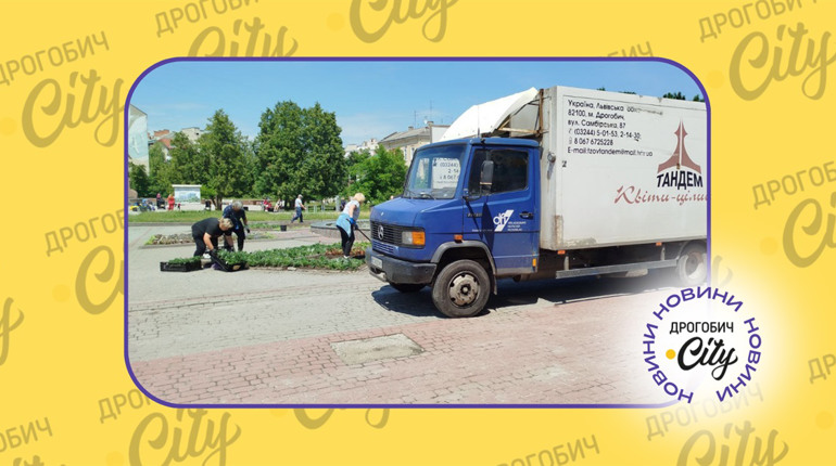 За квітниками у Дрогобичі доглядатиме “Тандем”: вартість послуг 600 тисяч гривень