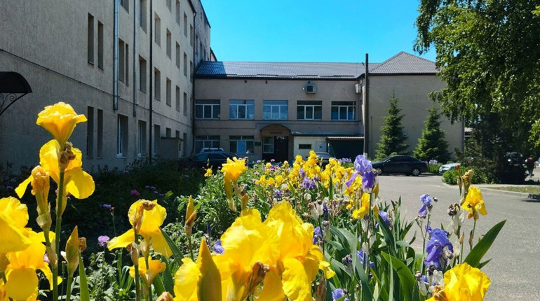 В Краснограді зареєстрований випадок вірусного гепатиту А: чим це небезпечно?