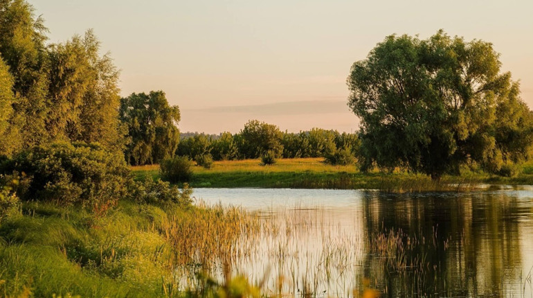 Мешканців Чернігівщини запрошують взяти участь у фотоконкурсі пам’яток природи