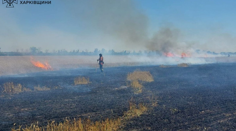 Ворожі війська знищили збіжжя на площі 20 гектарів у Курилівській громаді