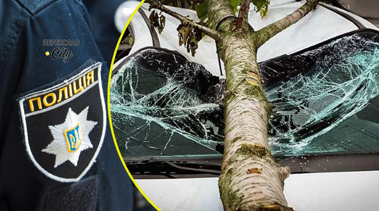 У Переяславі чоловік заявив у поліцію, що на автомобіль упало дерево: хроніка доби 9 липня