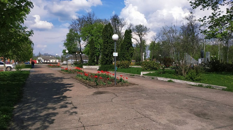 Погода на тиждень: спека не відступає, на Гадяччині майже +40 градусів