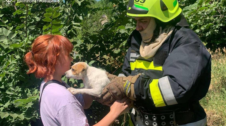 У Жовтих Водах рятувальники визволили песика, який впав у льох