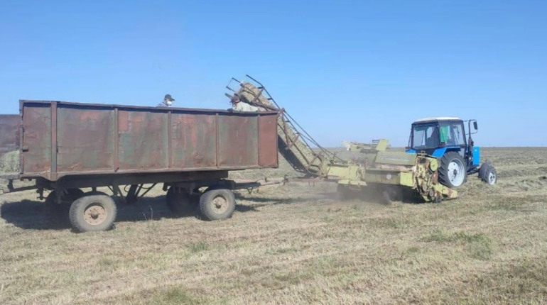 Окупаційна влада створила протипожежні прокоси на території заповідника "Асканія-Нова"