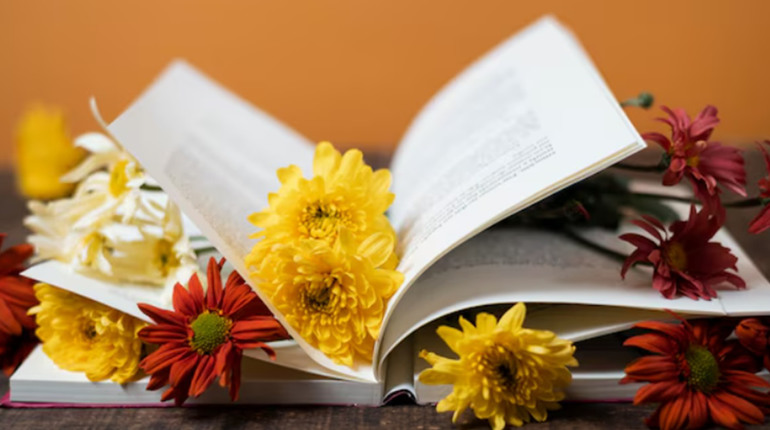 Книги з української літератури для 11 класу: найкращий вибір для успішної підготовки
