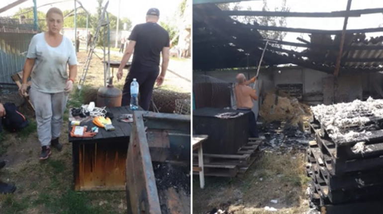 Ніжинська зооволонтерка розказала, як оговтуються після пожежі