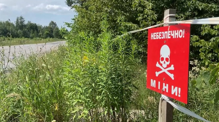 Вибухотехніки поліції Луганщини від початку року знешкодили понад 800 боєприпасів