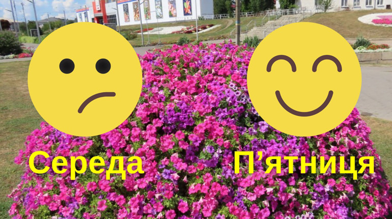 Історія українського фразеологізму: чому середа "скривляється" на п’ятницю?