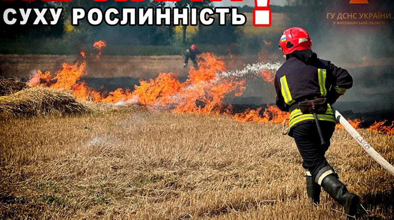 Рятувальники Житомирщини ліквідували понад 500 пожеж у природних екосистемах з початку року