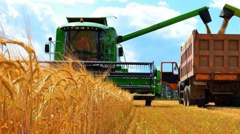 Збір врожаю під ворожими обстрілами: аграрії Чернігівщини переходять до озимих культур