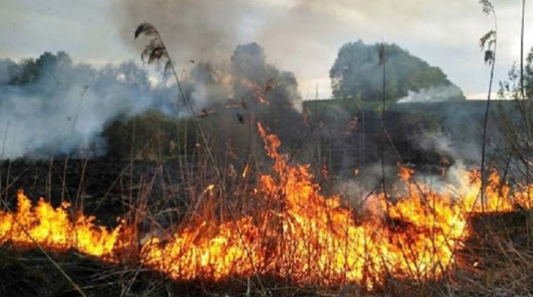 У Соснівці сталася масштабна пожежа: згоріли 15 споруд та два вантажні автомобілі