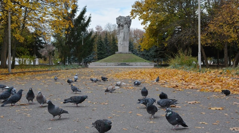 Звідки походять прізвища золотонісців?