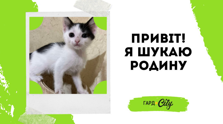 Знайдіть свою Маркізу