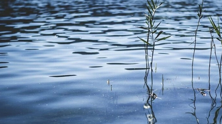 В штучній водоймі виявили потопельника