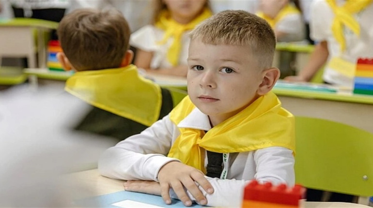 Математика і державний сектор: Як інвестиції в освіту підвищують продуктивність