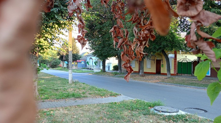 Осіння погода настала: від сонця до дощів та перших заморозків