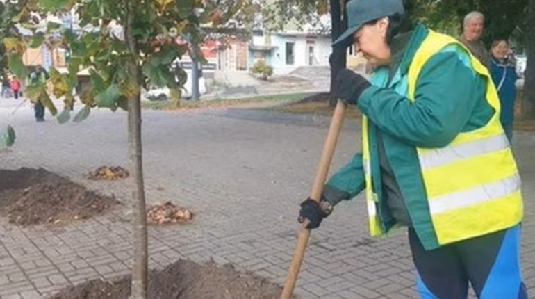 У Запоріжжі тривають роботи з догляду за зеленими зонами: центральний проспект прикрасять липи