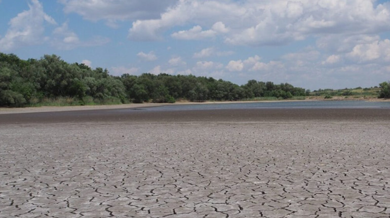 Через підрив Каховської ГЕС знищено майже 10 тисяч гектарів водно-болотних угідь