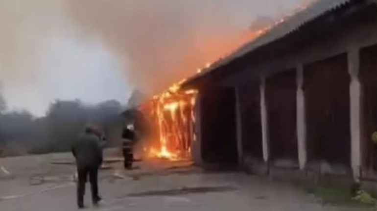 Пожежа в Дягові: знищено покрівлю господарчої споруди та пошкоджено зерно