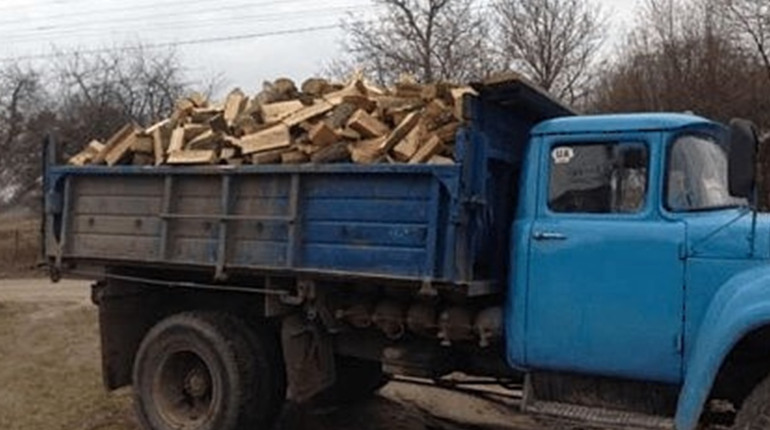 Деревина для опалення осель. Як жителям Лозівської громади придбати дрова у лісництва