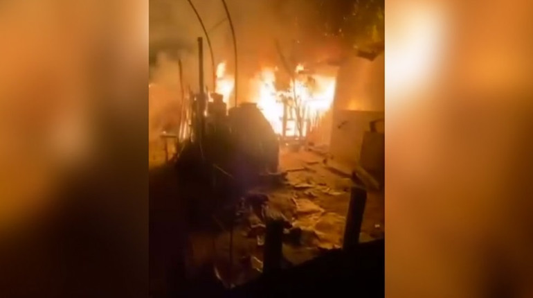 У Запоріжжі підпалили притулок для тварин: собаки згоріли заживо