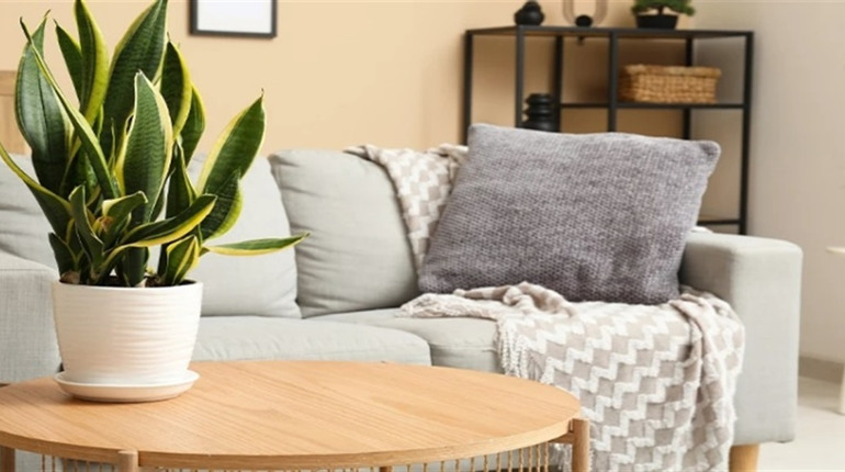 Доставка якісних товарів із магазину Ikea в Україну за допомогою Meest Shopping