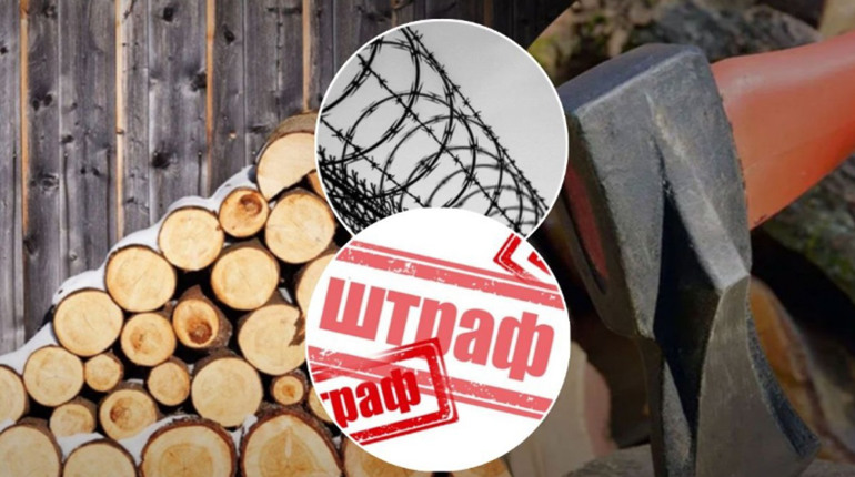 Якщо українці не мають документів на дрова, їх можуть почати штрафувати