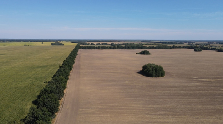 Термін оформлення земельних часток (паїв) продовжено до 2028 року