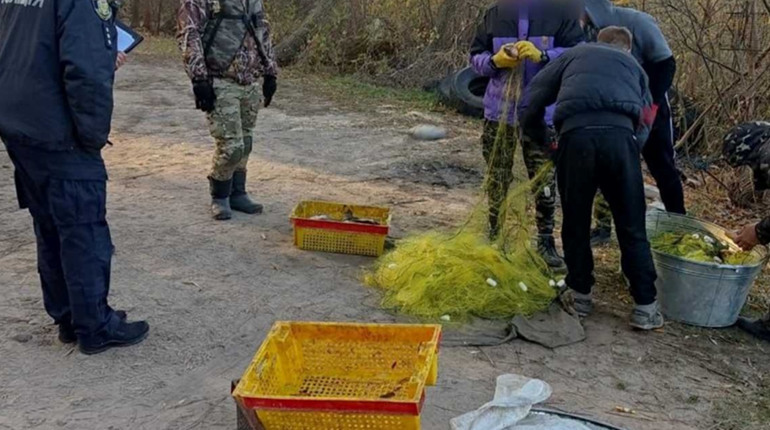 На Полтавщині браконьєри сітками наловили риби на 400 тисяч гривень