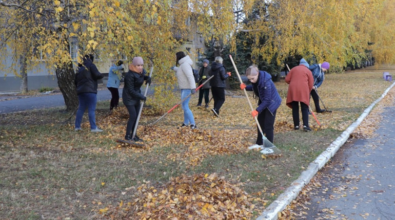 У П’ятихатках відбулася осіння толока: фото