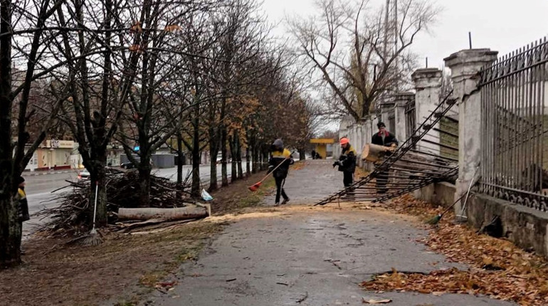 У Нікополі буревій повалив дерева та пошкодив міське господарство