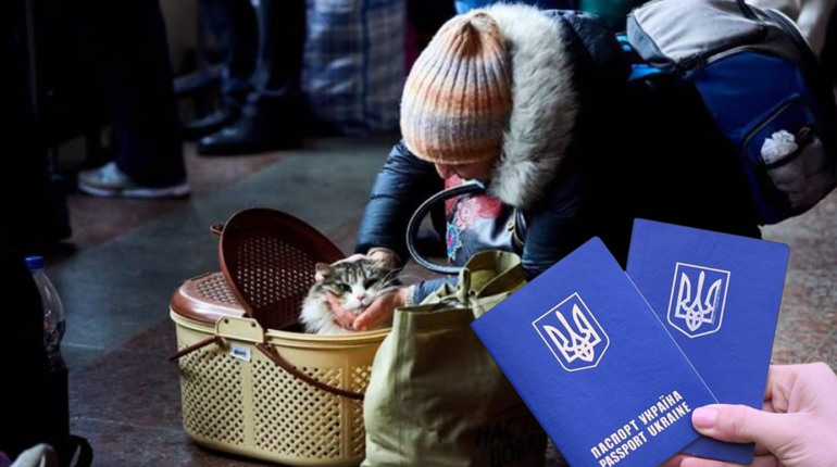 Створили путівник для ВПО, які переїхали в Суми: скачати його можна тут