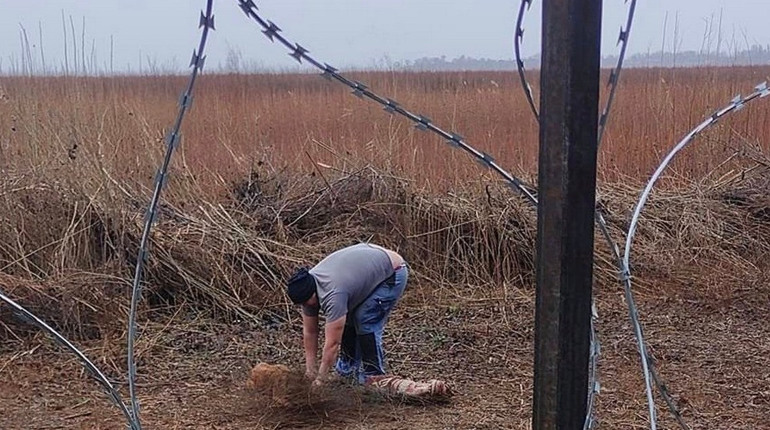 У Нікопольському районі врятували двох собак із дротяної пастки
