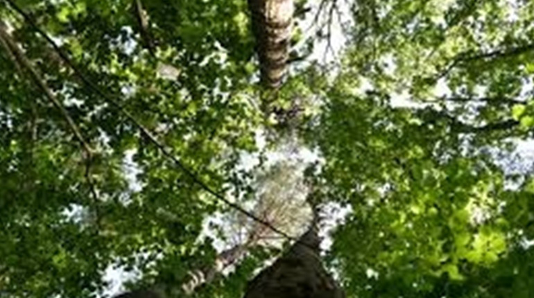 На Гадяччині розширили межі двох заповідних урочищ