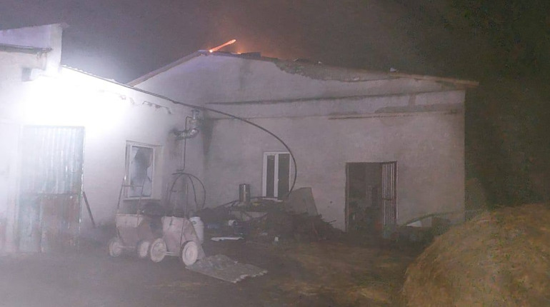 Росіяни обстріляли ферму з коровами в Кролевецькій громаді: травмовано тварин
