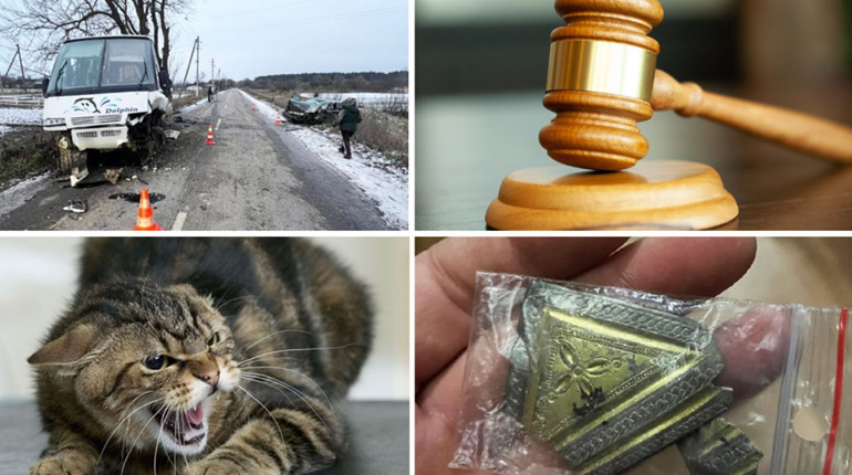 У сусідів: ДТП з автобусом, напад скаженого кота, вирок ухилянту, продаж унікального артефакту