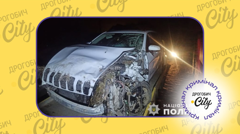 Нічне ДТП у Рихтичах: авто злетіло у кювет, пасажирка в лікарні