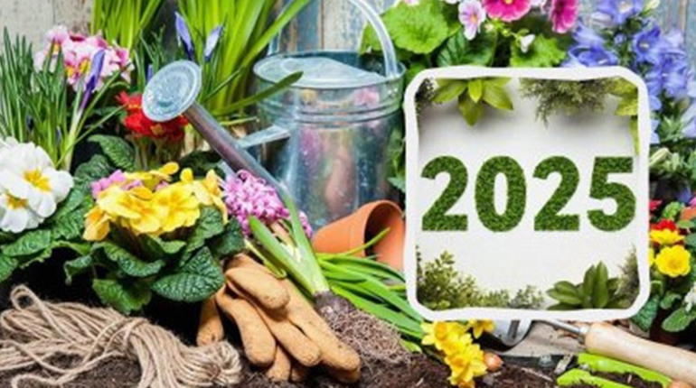 Посівний календар городника на лютий 2025 року