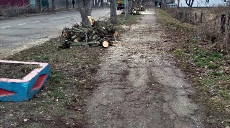 На Менщині зрізані гілки дерев використовують на опалення